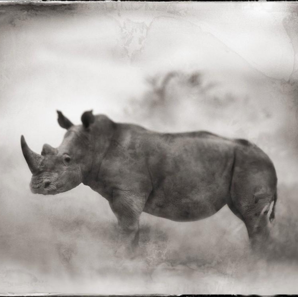 Meet your Posher, Antonia - Picture 1 of 1